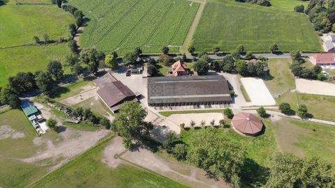 Riede Bauernhöfe, Landwirtschaft, Riede Forstwirtschaft