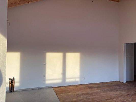 Wohn-Essbereich mit Küche (10).jpeg