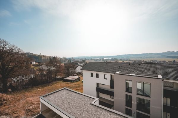 02_25-Hunderdorf-01