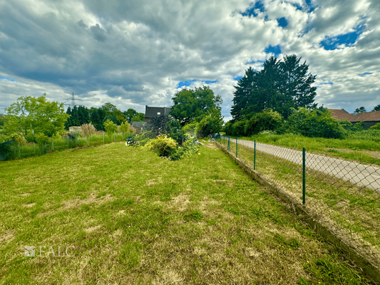 rückseitiger Grundstücksbereich