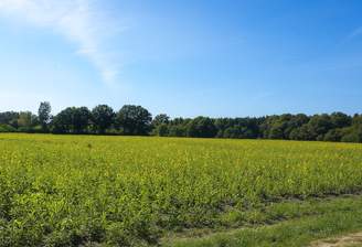 Blick in die Natur