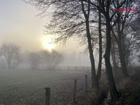Füchtel im Zuge der Gezeiten