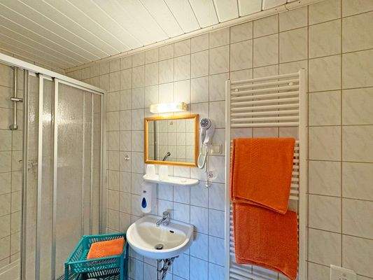 Apparment Anbau Duschbad