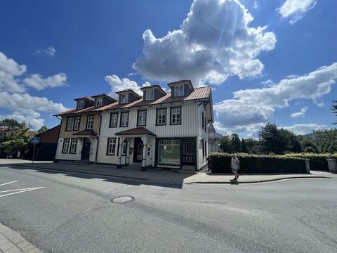 Ilsenburg (Harz) Häuser, Ilsenburg (Harz) Haus kaufen