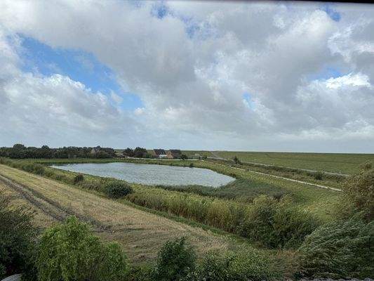 Blick auf den Außendeich