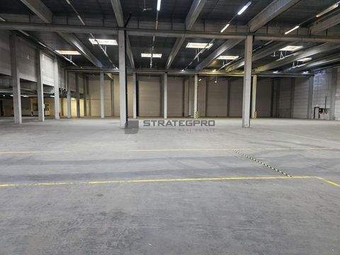 Edenkoben Halle, Edenkoben Hallenfläche