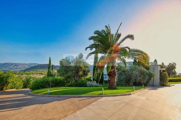 img_469b773c-bc41-4448-830a-5758305d6eea