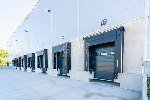 Dortmund Halle, Dortmund Hallenfläche