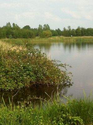 Ferienhaus Leeuwarden kaufen001