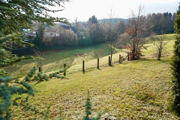 Großzügiges Grundstück