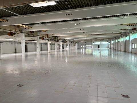 Schifferstadt Halle, Schifferstadt Hallenfläche