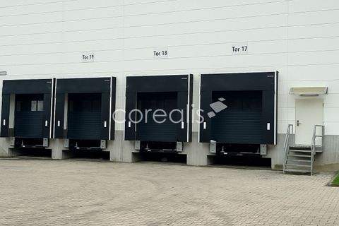 Langenfeld / Berghausen Halle, Langenfeld / Berghausen Hallenfläche