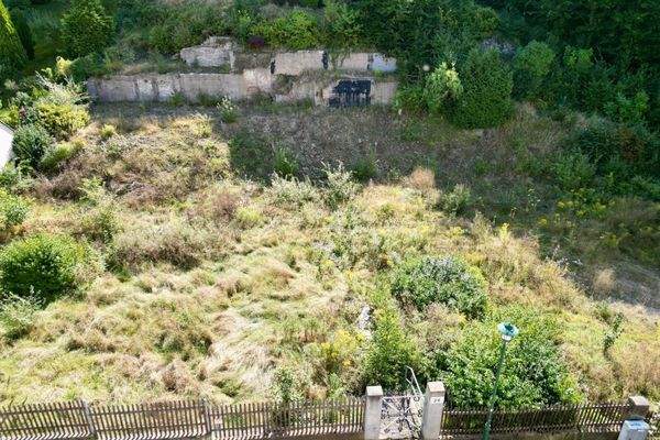 Blick auf den unteren Grundstücksteil