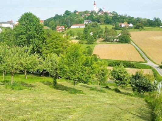 Ausblick nach Osten