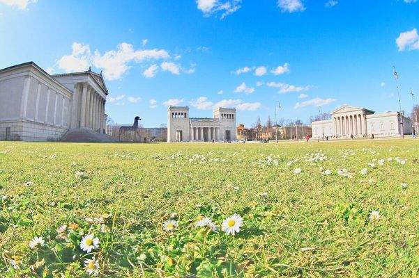 Lage direkt am Königsplatz