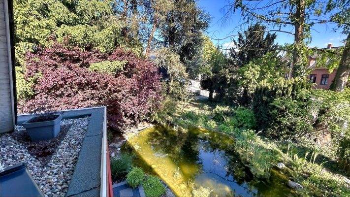 Naturbelassenes Grundstück mit Teich