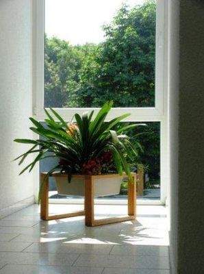 heller, gepflegter Hausflur