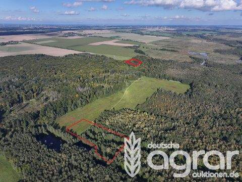 Sassen-Trantow Bauernhöfe, Landwirtschaft, Sassen-Trantow Forstwirtschaft