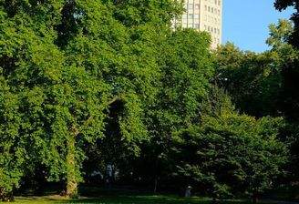 Wohnen am Park mit Traumblick