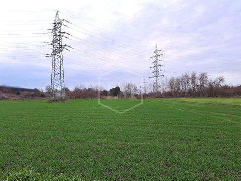 Grevenbroich Bauernhöfe, Landwirtschaft, Grevenbroich Forstwirtschaft