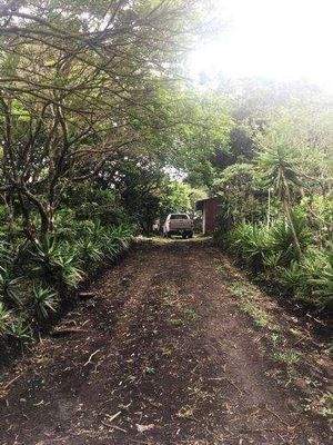 ImmoScout360 Farmland 2,5 ha Zufahrt