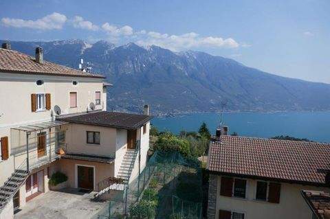 Voltino Häuser, Voltino Haus kaufen