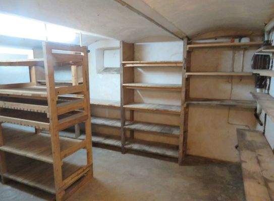 15-alter Keller-Zugang übers Erdgeschoss.JPG