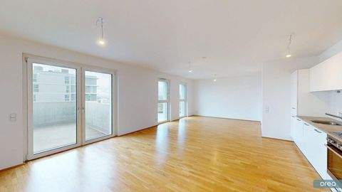 Wien Wohnungen, Wien Wohnung mieten