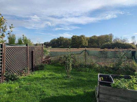 Foto 005 Maierbusch 15.jpg