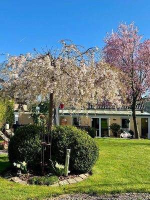 Blick auf Haus aus dem Garten