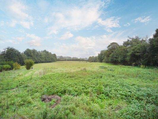 Blick von der Straße auf das Grundstück