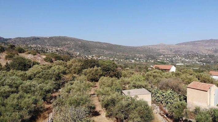 Kreta, Neo Chorio: Charmantes Baugrundstück mit Olivenbäumen und Panoramablick im Apokoronas zu verkaufen