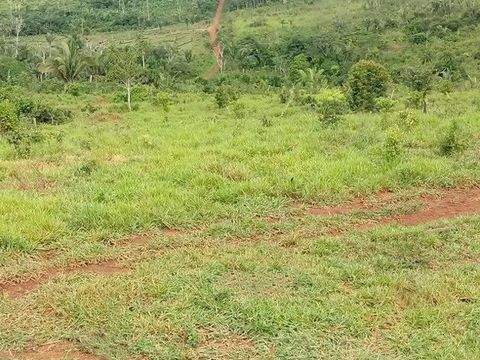 Manaus - Presidente Figueiredo Grundstücke, Manaus - Presidente Figueiredo Grundstück kaufen