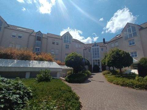 Trier Wohnungen, Trier Wohnung mieten