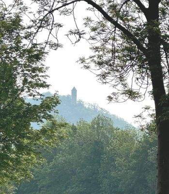Blick vom Grundstück auf die Burgruine Plesse