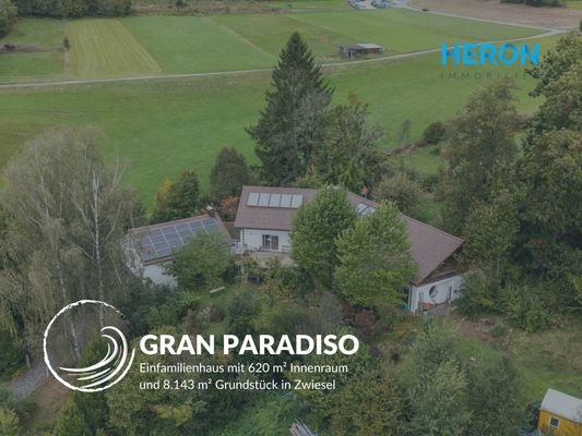 GRAN PARADISO 43