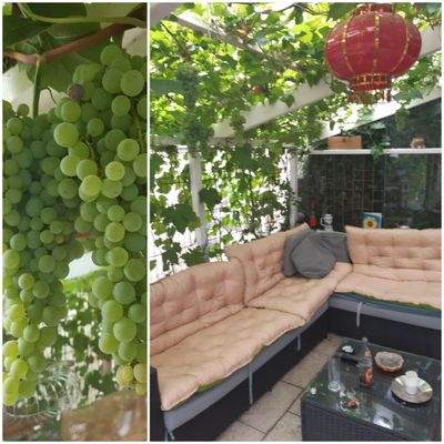 Ruheoase im Garten (geschlossen).jpeg