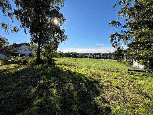 Bild Grundstück.jpg