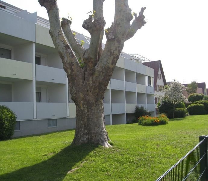 1 Zimmer Wohnung in Freiburg (Weingarten)