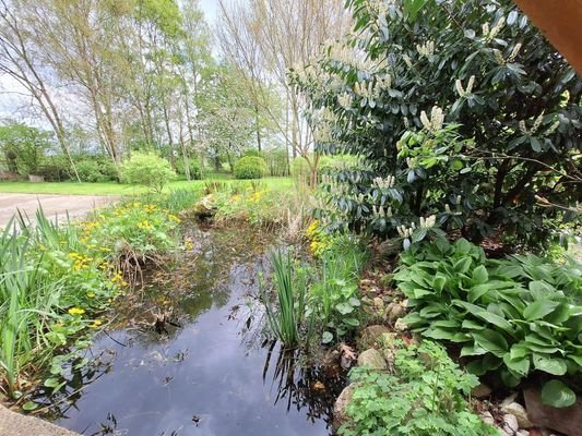 Gartenteich