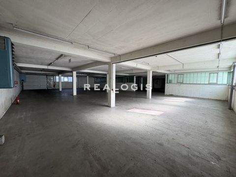 Ostfildern Halle, Ostfildern Hallenfläche