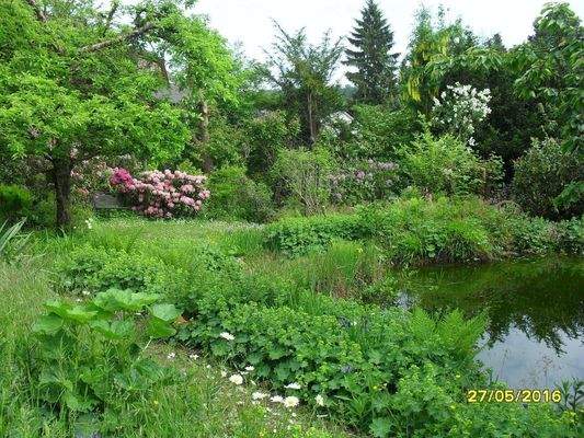 Blick auf den kleine Teich