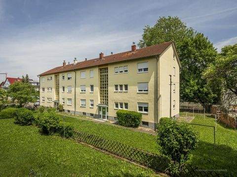 Kandel Wohnungen, Kandel Wohnung mieten