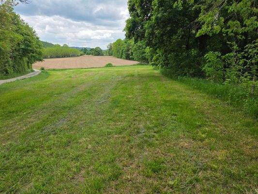 Ansicht Pachtgrundstück