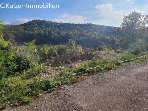 Lörrach Grundstücke, Lörrach Grundstück kaufen