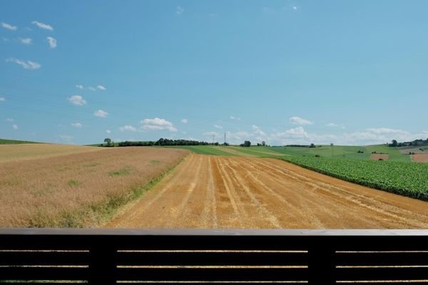 Ausblick