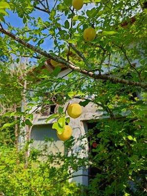 Potenzial für Ihre Wohnvision