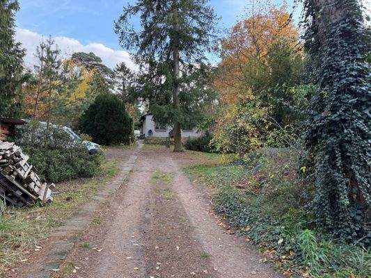 Zufahrt / Eingangsbereich