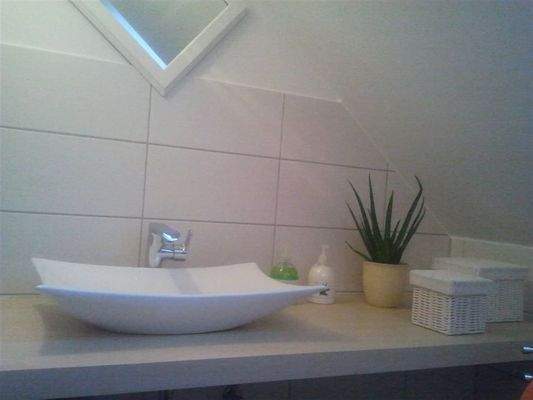 weitere Ansicht Gäste-WC_DG