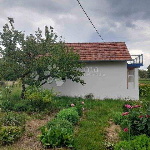Sveti Juraj na Bregu Häuser, Sveti Juraj na Bregu Haus mieten 
